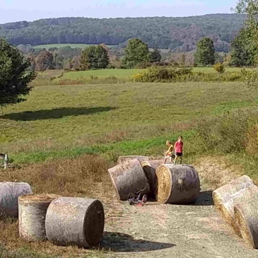 boys on hay bales